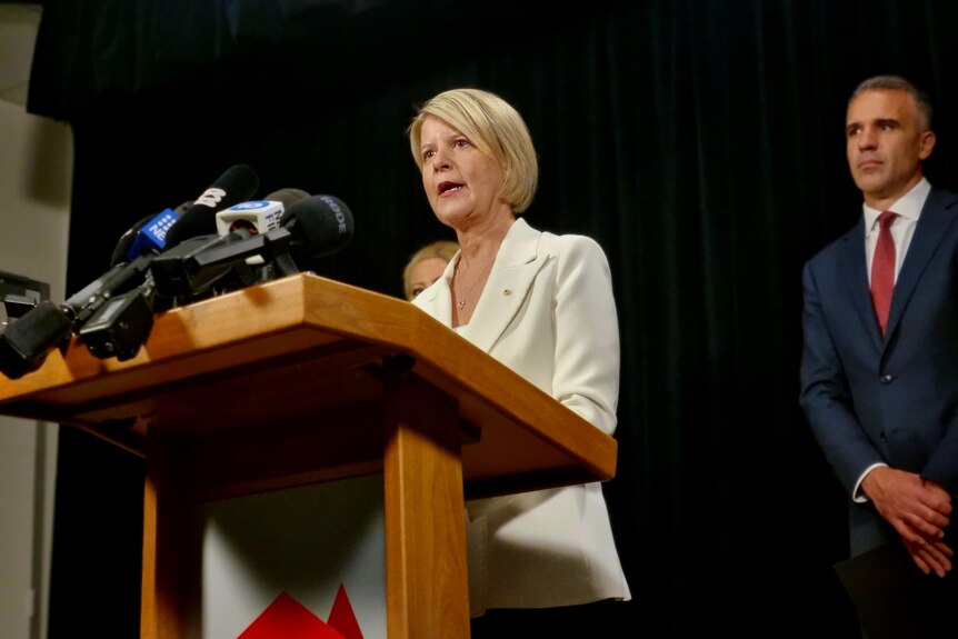 Natasha Stott Despoja speaks to the media.