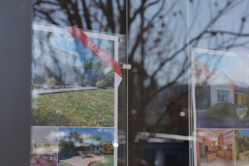 For lease signs in a window reflecting a tree