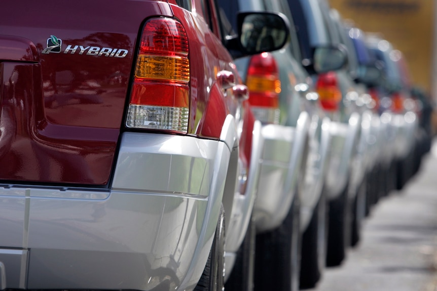 A fleet of brand new hybrid SUVs.