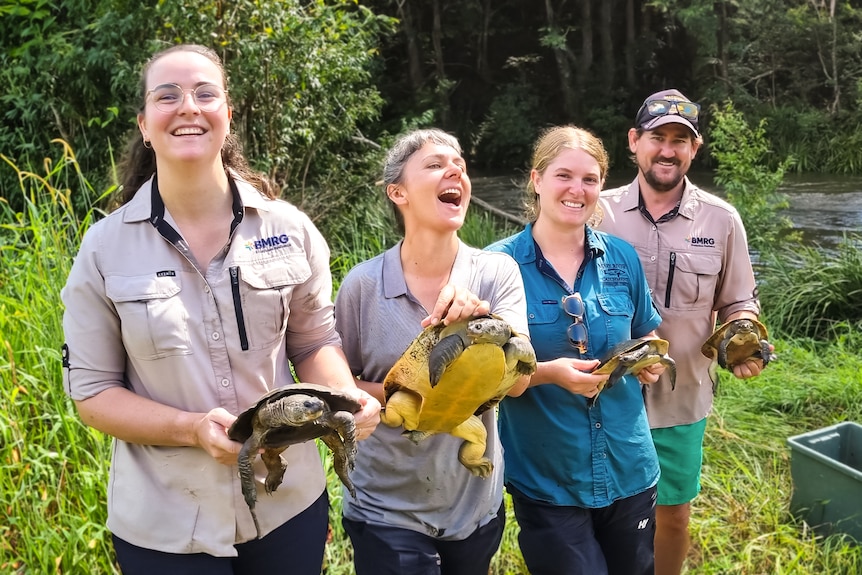 Two people stand in a line, each holding a turtle.