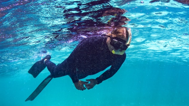 Front cover of ABC Corporate Plan 2023-24 with an image of person snorkeling