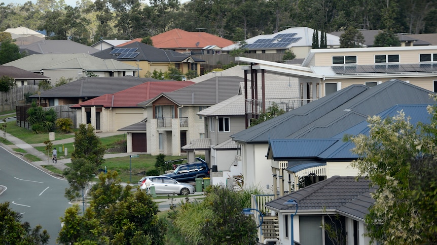 Houses lining a suburban street