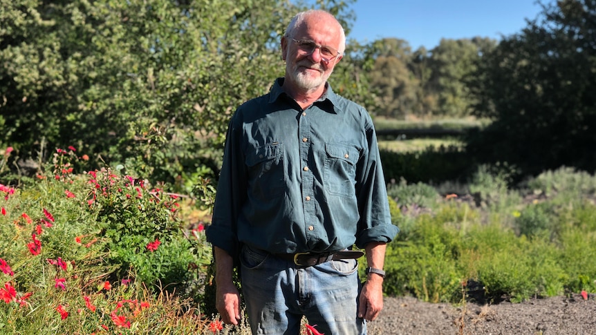 Rob stands in a work shirt surrounded by native trees on a sunny day. 