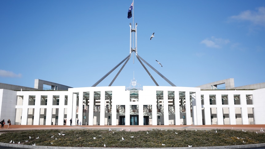 Birds fly out the front of Parliament House