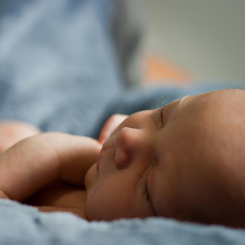 A newborn baby is sleeping peacefully.