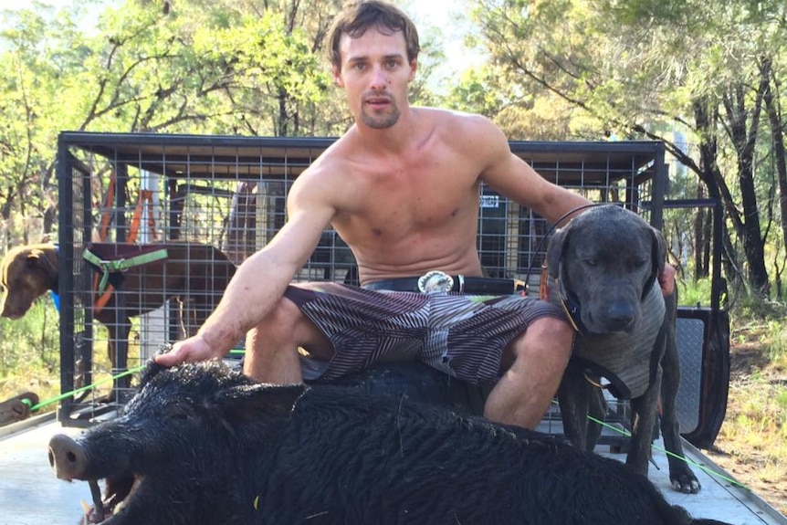 A man sits with a dead pig