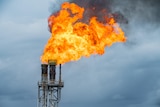 A gas flare