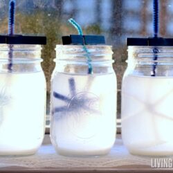 Salt Crystal Snowflakes - this simple STEM activity transforms pipe cleaners into beautiful crystal snowflakes. Kids will love this easy science project!