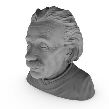 Albert einstein 3d printing model