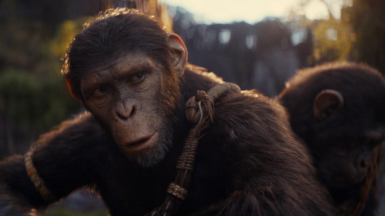 (Front): Noa (played by Owen Teague) in 20th Century Studios' KINGDOM OF THE PLANET OF THE APES. Photo courtesy of 20th Century Studios. © 2024 20th Century Studios. All Rights Reserved.