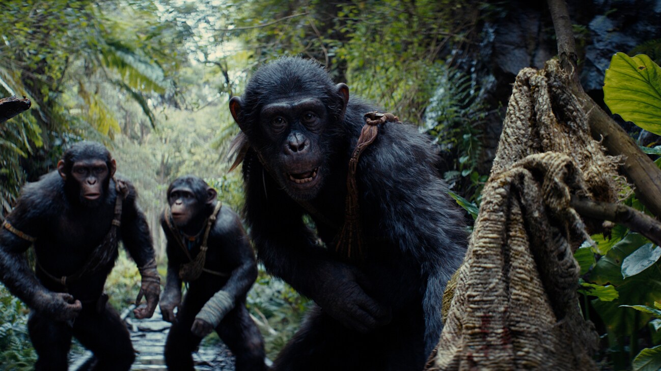 (L-R): Noa (played by Owen Teague), Soona (played by Lydia Peckham), and Anaya (played by Travis Jeffery) in 20th Century Studios' KINGDOM OF THE PLANET OF THE APES. Photo courtesy of 20th Century Studios. © 2024 20th Century Studios. All Rights Reserved.