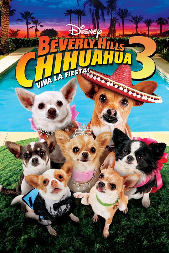 Disney Beverly Hills Chihuahua 3: Viva La Fiesta! movie poster