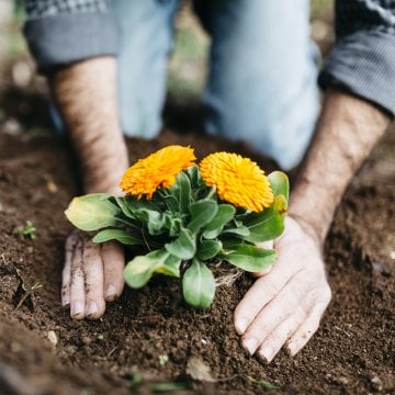 Thinking About Starting a Garden? It’s Not As Hard As It Looks