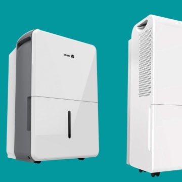 Beat Asthma, Allergies & Bad Odors With These Top Dehumidifiers