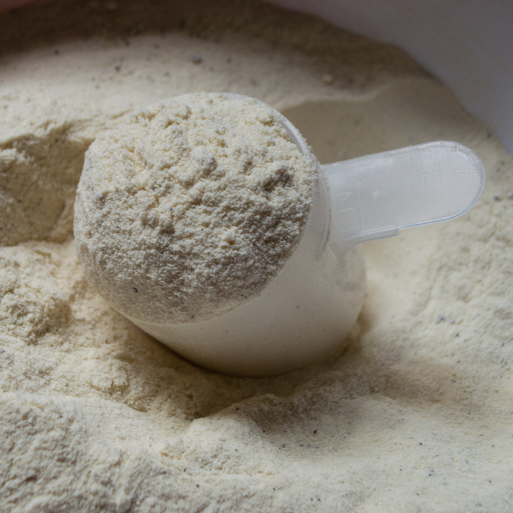 What Is Casein Powder?