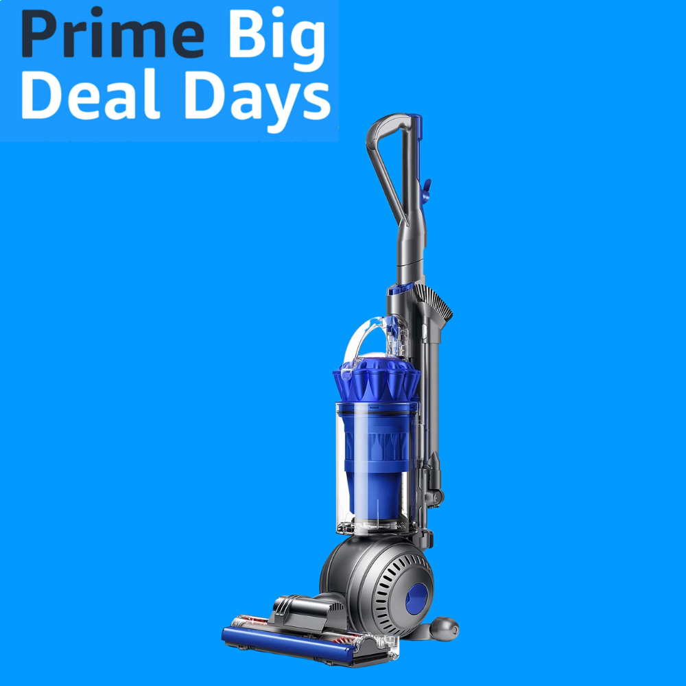 The Ultimate All-Purpose Vacuum for an Unbeatable Price? Yes, Please