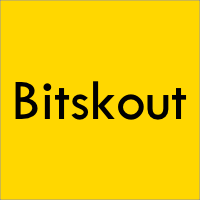 Bitskout icon