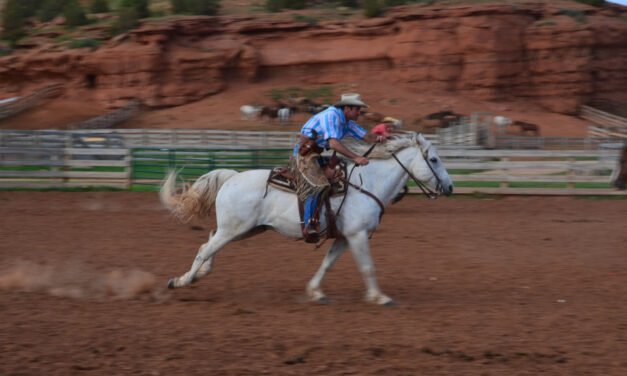 “Yellowstone” Series Sparks Demand for Dude Ranch Vacations