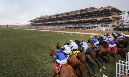 Chef Curtis Stone At The 2024 Breeders’ Cup World Championship