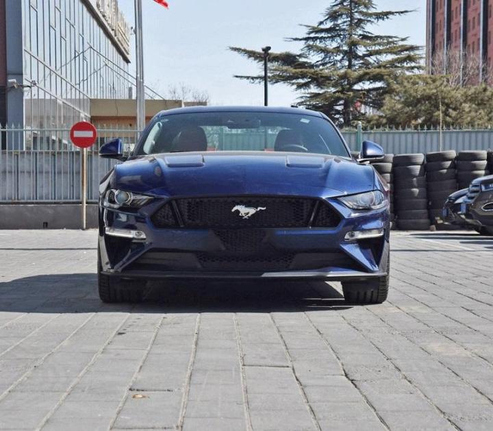 Hình ảnh logo ford mustang độc đáo và ấn tượng cho xe của bạn