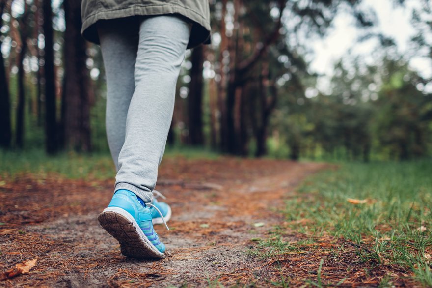 A hiker walking on a forest trail.