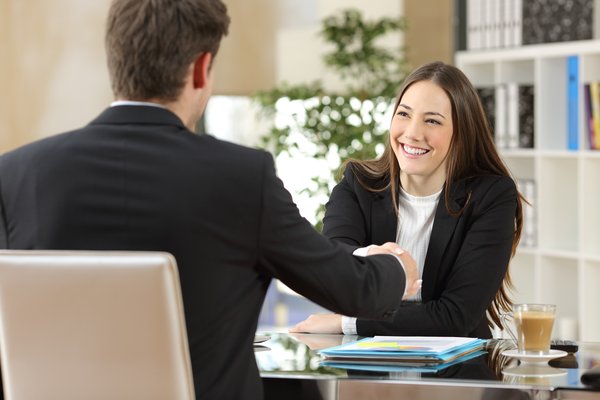 Professional young woman shaking hands with professional man.