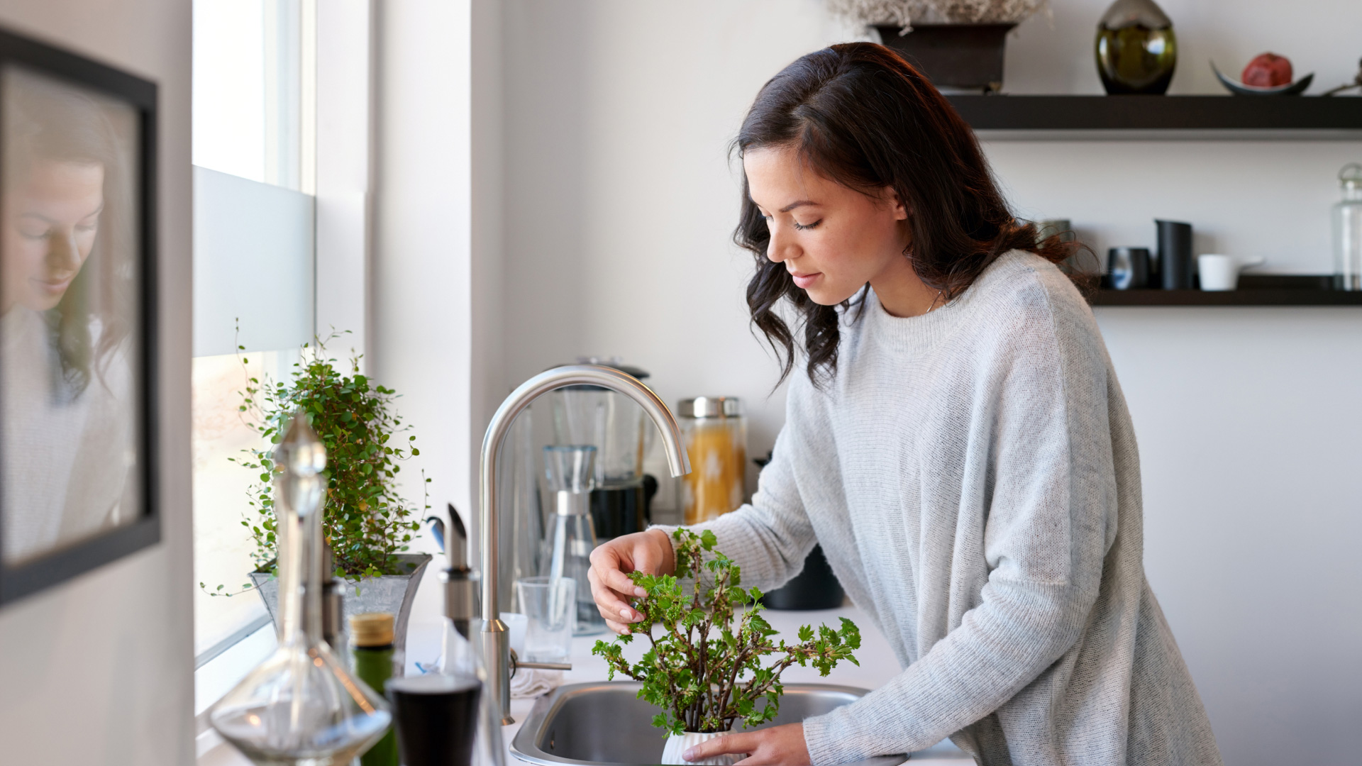 A woman at her kitchen sink watering a pant in the basin