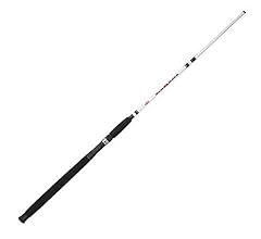 Berkley Big Game Casting Fishing Rod