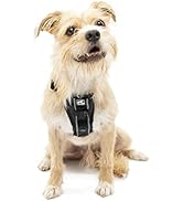 Kurgo Dog Harness | Pet Walking Harness | Small | Black | No Pull Harness Front Clip Feature for ...