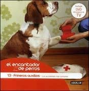 PRIMEROS AUXILIOS (Spanish Edition) 9870413404 Book Cover