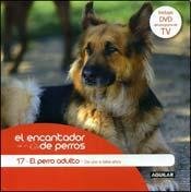 PERRO ADULTO, EL (Spanish Edition) 9870413528 Book Cover