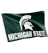 Desert Cactus Michigan State University Flag Spartans MSU Flags Banners 100% Polyester Indoor Out...
