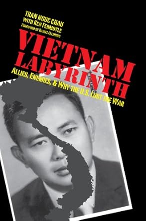 Vietnam Labyrinth: Allies, Enemies, and Why the U.S. Lost the War