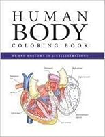 Human Body Coloring Book