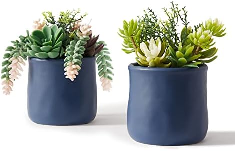 ASTRIDIA Artificial Succulent in Ceramic Pots, 2 Packs Large Faux Fake Plants Navy Blue for Desk,Office, Bedroom, Living Room, Bathroom Office Shelf Home Décor