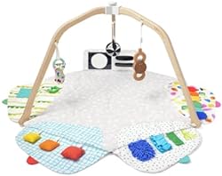 LOVEVERY | The Play Gym | Award Winning For Baby , Stage-Based Developmental Activity Gym & Play Mat for Baby 