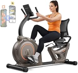 Niceday Recumbent Exercise Bike, Recumbent Bike for Home, Recumbent Stationary Bike 400LBS Weight Capacity, Ma