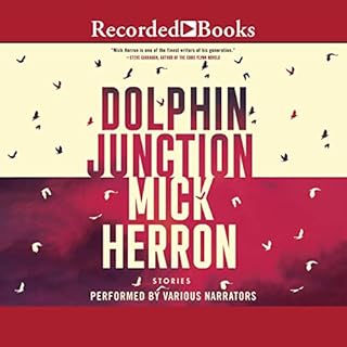 Dolphin Junction Audiolibro Por Mick Herron arte de portada