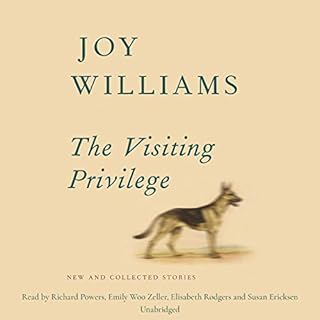 The Visiting Privilege Audiolibro Por Joy Williams arte de portada