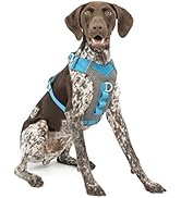 Kurgo Dog Harness for Large, & Small Active Dogs, Pet Hiking Harness for Running & Walking, Every...