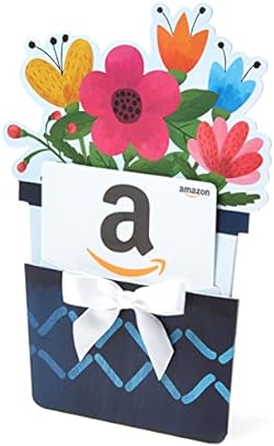 Amazon.com Gift Card for any amount in various designs