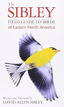 Flexibound The Sibley Field Guide to Birds of Eastern North America Book