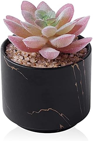 zenmag Mini Succulents Plants Artificial, Fake Succulents in Black Ceramic Pots Cute Desk Accessories 1Pcs Fake Plants for Livingroom,Bathroom,Bedroom Aesthetic Office Decor for Women,Table Decor