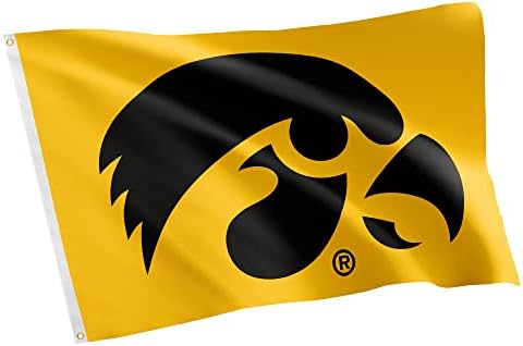 Desert Cactus University of Iowa Hawkeyes Banners 100% Polyester Indoor Outdoor 3x5 feet Flags (Style 2)