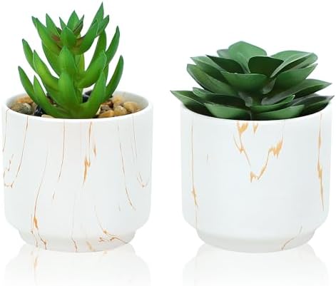 CEWOR 2 Pack Artificial Succulent Plants in Pots Mini Fake Succulents Plants for Shelves Decor, Bathroom, Bedroom, Office Decor, Desk Decorations (Green)