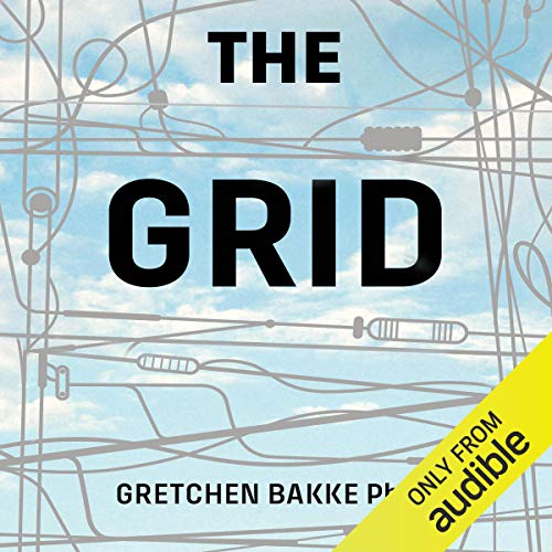 The Grid: The Fraying Wires Between Americans and Our Energy Future