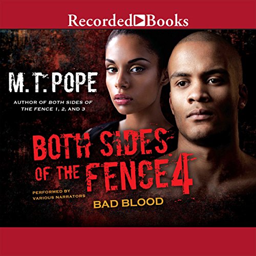 Both Sides of the Fence 4 Audiolibro Por M. T. Pope arte de portada