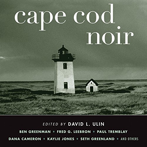 Cape Cod Noir Audiobook By David L. Ulin cover art