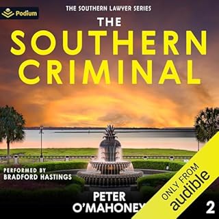 The Southern Criminal Audiobook By Peter O'Mahoney cover art