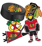 Chicago Blackhawks Team NHL National Hockey League Sticker Vinyl Decal Laptop Water Bottle Car Sc...